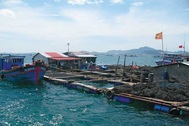 Người Trung Quốc nuôi cá trên vịnh Cam Ranh