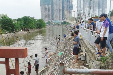 Nhộn nhịp cảnh đánh bắt cá trên sông Tô Lịch 