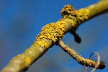 Các khu vực khai thác trắng chứa đa dạng sinh học