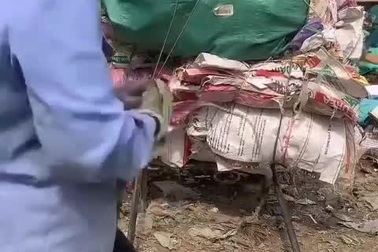 Người phụ nữ nuôi cả gia đình với nghề đồng nát