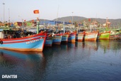 Siết tàu cá, kiểm soát 100% lượt xuất, nhập bến, quyết gỡ thẻ vàng IUU