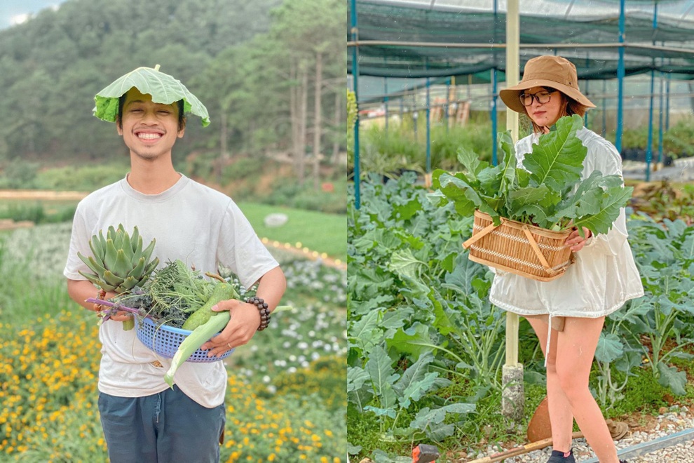 Gia đình Sài Gòn bỏ phố về rừng, biến đồi trọc thành trang trại trong mơ - 9