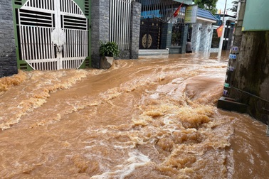 Nhiều khu dân cư ở Đồng Nai bị ngập