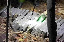 Đi nhặt ve chai, phát hiện nhiều túi nilong nghi ma túy ở biển Gò Công