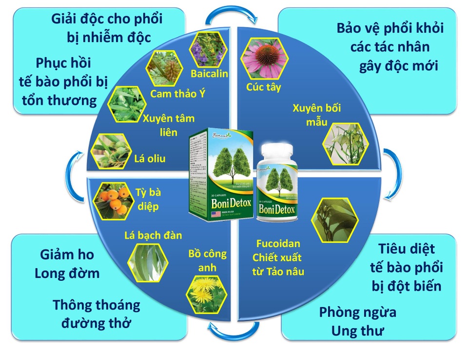 BoniDetox – Bí kíp vàng hỗ trợ giải độc phổi và giảm nguy cơ u bướu phổi của Mỹ - 2 BoniDetox – Bí kíp vàng hỗ trợ giải độc phổi và giảm nguy cơ u bướu phổi của Mỹ - 2
