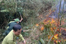 Hơn 300 người tham gia chữa cháy rừng ở Tuyên Quang