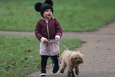 Cháu gái 2 tuổi của tỷ phú Anh sành điệu dắt cún cưng đi dạo