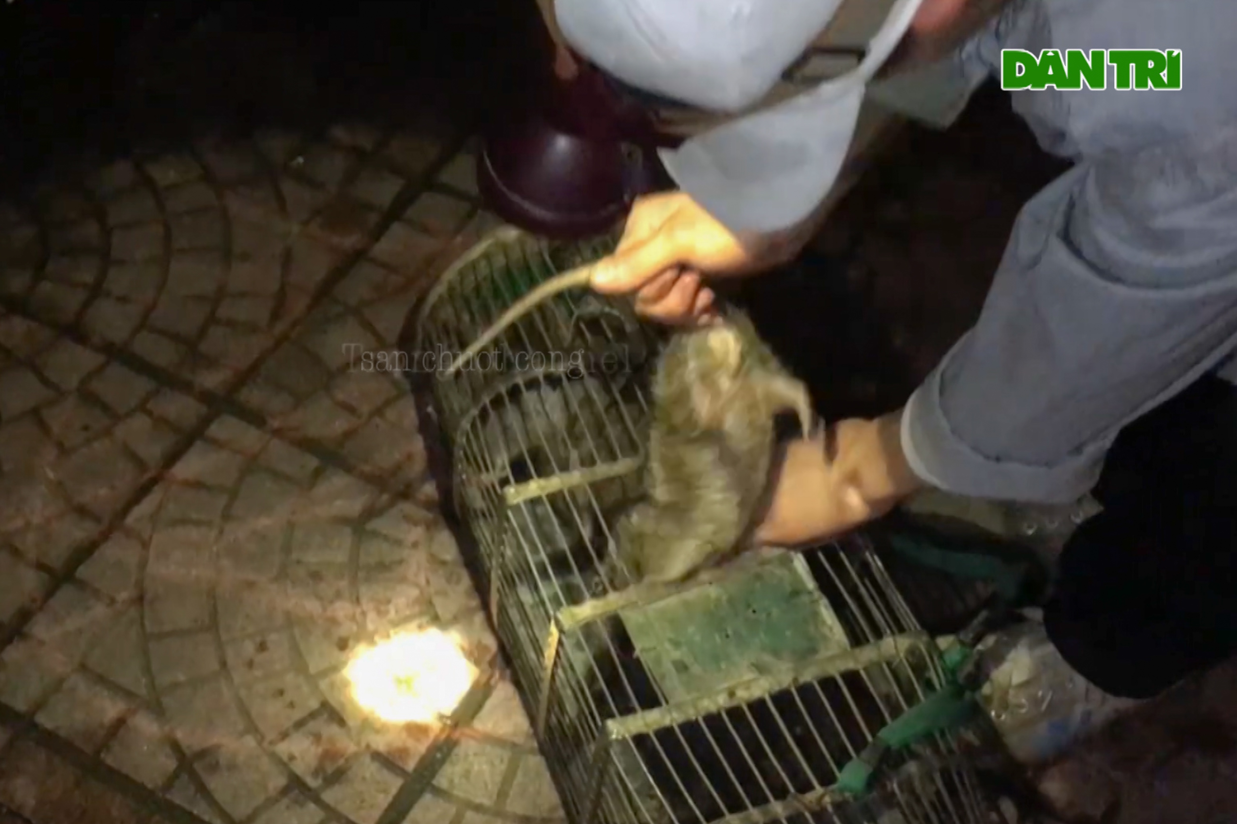 Người thợ săn già dành nửa đời chỉ để bắt chuột cống - 5 Người thợ săn già dành nửa đời chỉ để bắt chuột cống - 5