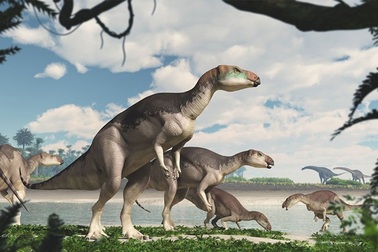 Phát hiện hoá thạch của một đàn khủng long cực hiếm