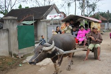 Người đàn ông tàn tật và chiếc xe trâu đưa đón trẻ mầm non miễn phí