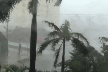 Bão quần thảo dồn dập, tơi tả Hà Tĩnh