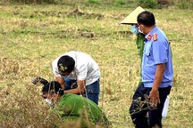 Xuyên Tết truy bắt nghi phạm sát hại cụ ông bán vé số, cướp tài sản