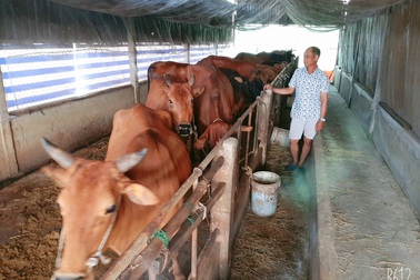 Sóc Trăng: Thoát nghèo từ Tổ hội nghề nghiệp nuôi bò sinh sản