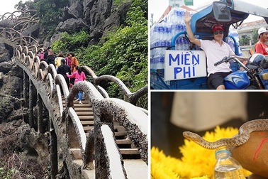 Công trình “khủng” không phép ở Tràng An và rắn nước “hóa thần” trên mộ vô danh