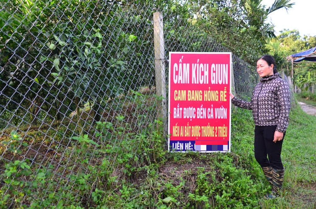 Tận diệt giun đất: Lợi bất cập hại - 2 Tận diệt giun đất: Lợi bất cập hại - 2