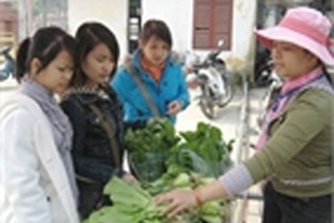 Vừa đầu năm, sinh viên lại “xanh mặt” vì giá tăng