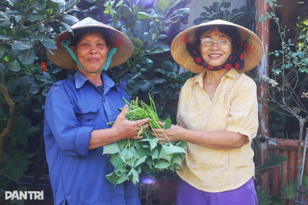Khu vườn rau nghĩa tình với giá 0 đồng của phụ nữ Hội An - 3 Khu vườn rau nghĩa tình với giá 0 đồng của phụ nữ Hội An - 3