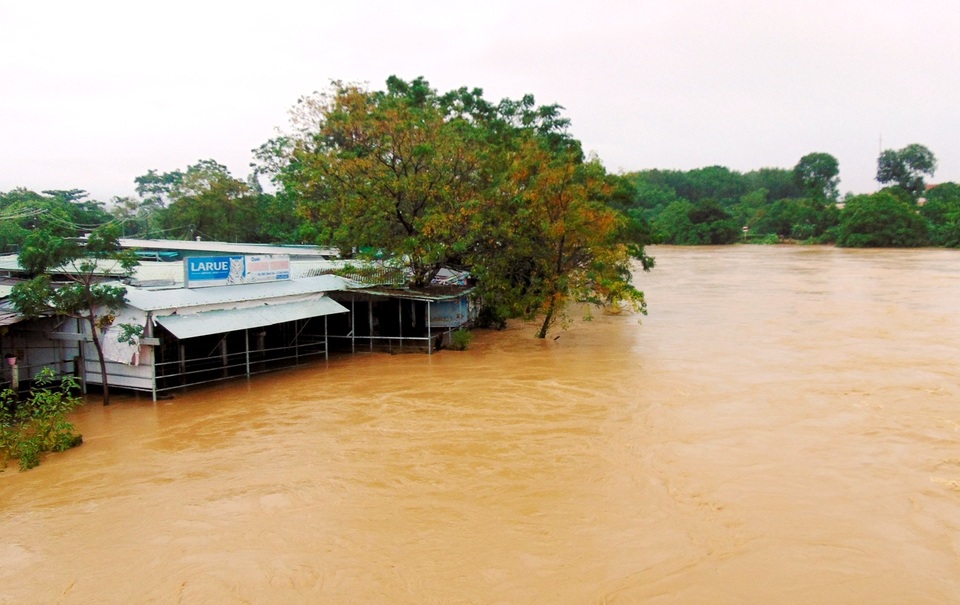Quảng Nam: Mưa lũ, sét đánh chết 7 con bò của hộ dân đồng bào Cơtu - 3