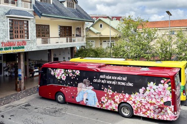 Hãng Thành Bưởi và 21 nhà xe khác ngưng hoạt động, hành khách lo gì?