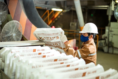 Xi măng Vicem Hà Tiên báo lỗ 86 tỷ đồng sau 3 tháng