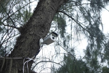Làng biển lắp camera giám sát việc đổ rác