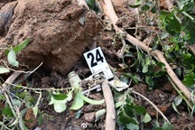 Thông tin ám ảnh về các nạn nhân trong vụ máy bay rơi ở Trung Quốc