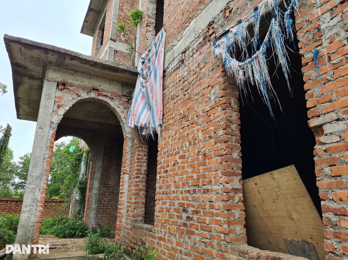 Biệt thự để cỏ mọc um tùm nhưng được hét giá khiến đại gia bỏng tay - 8