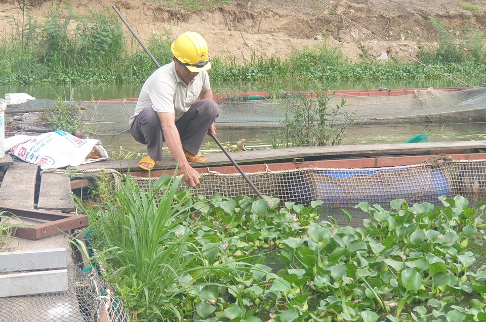 Lên Tây Nguyên xem lão ngư nuôi cá đặc sản tiến vua, thu 500 triệu đồng/năm - 4 Lên Tây Nguyên xem lão ngư nuôi cá đặc sản tiến vua, thu 500 triệu đồng/năm - 4