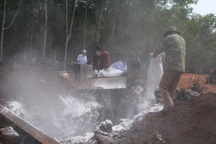 Tỉnh Đắk Lắk công bố dịch lở mồm long móng trên đàn heo