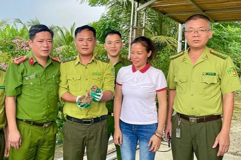Động vật quý hiếm liên tiếp xuất hiện trong vườn nhà dân - 2 Động vật quý hiếm liên tiếp xuất hiện trong vườn nhà dân - 2
