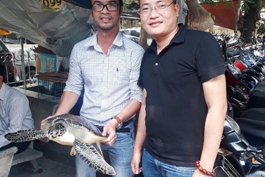 Bỏ tiền mua lại rùa biển quý hiếm nặng 10kg để thả về biển