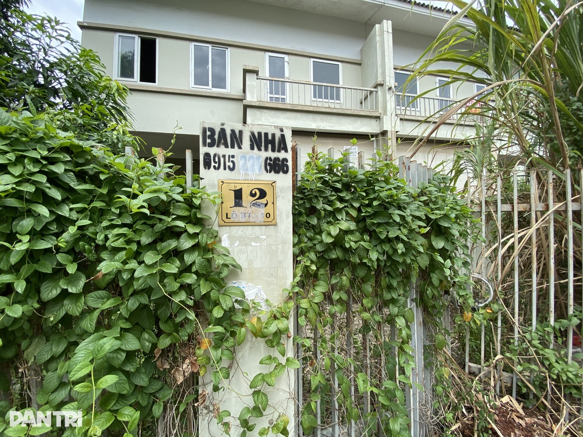 Biệt thự để cỏ mọc um tùm nhưng được hét giá khiến đại gia bỏng tay - 13