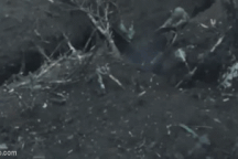 Chiến sự Ukraine 22/6: "Ngày đen tối" của lực lượng Kiev ở Pokrovsk