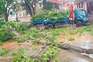 Thanh Hóa: Chủ động cho học sinh nghỉ học khi có tình huống nguy hiểm