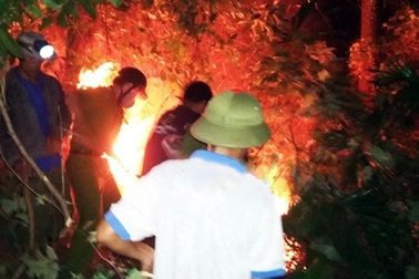 Hàng trăm người nỗ lực dập lửa cứu khu di tích văn hóa