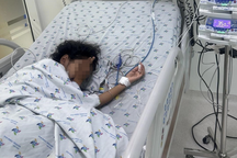 Bé gái 11 tuổi bị ong vò vẽ đốt 52 vết nguy kịch khi chơi trước sân nhà