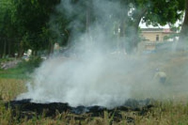 “Sương mù bao phủ Hà Nội” là khói đốt đồng