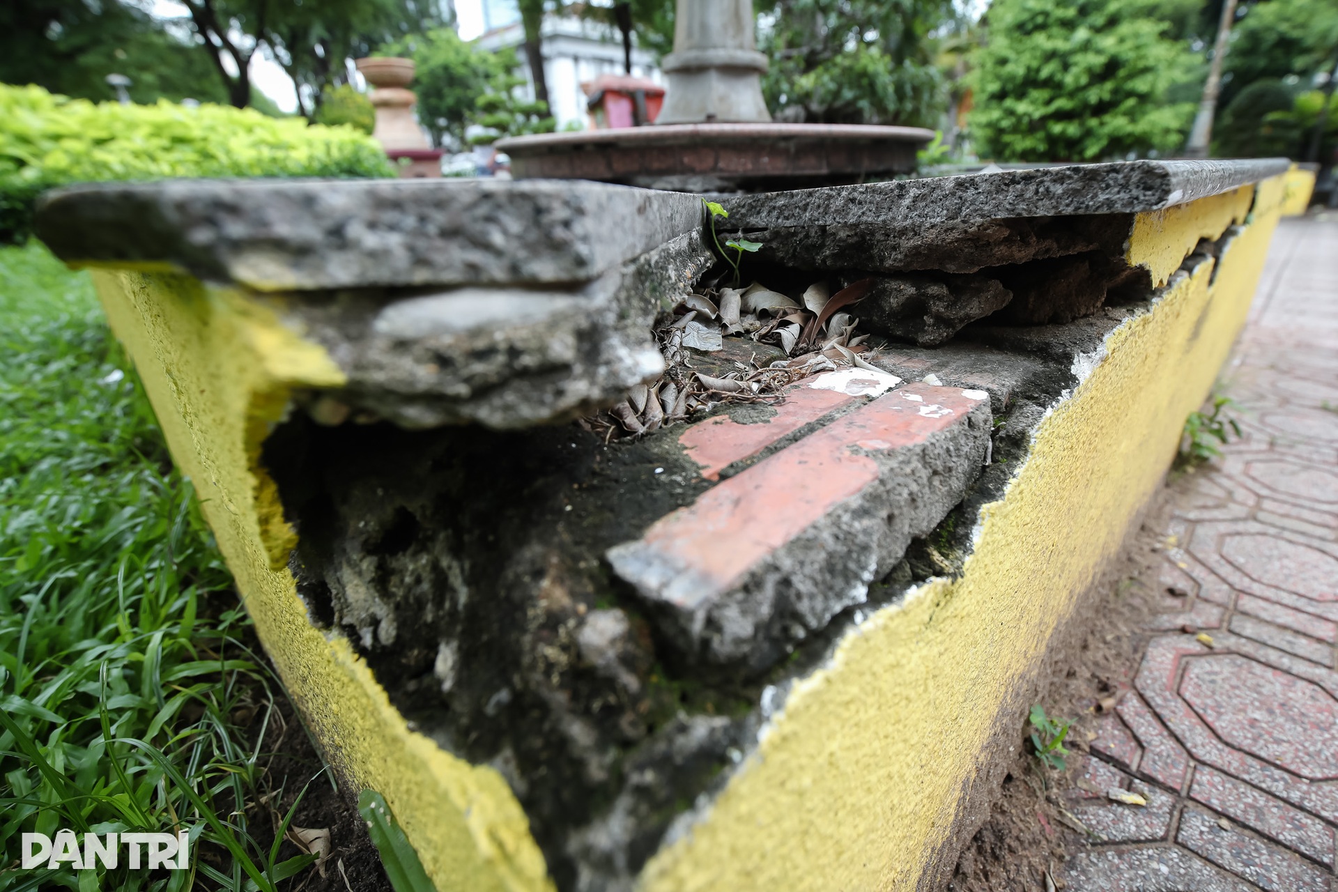 Cảnh nhếch nhác ở công viên giữa trung tâm TPHCM - 5 Cảnh nhếch nhác ở công viên giữa trung tâm TPHCM - 5