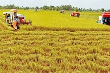 100 đồng vốn FDI chỉ có hơn 1 đồng đổ vào nông nghiệp