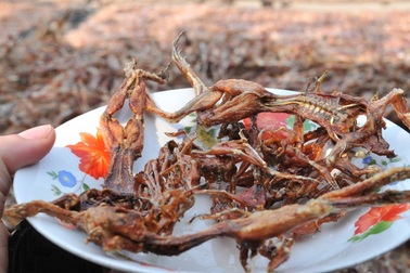 Những món ăn dân dã miền Tây ngày Tết khó cưỡng