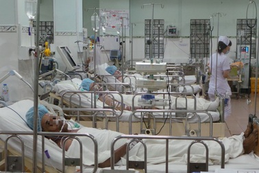 TPHCM: Gần 1.300 khách đã mua pate Minh Chay