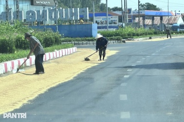 Xử phạt người dân phơi lúa trên đường gây va chạm giao thông