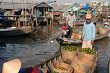 Kỳ 3: Lênh đênh chợ nổi