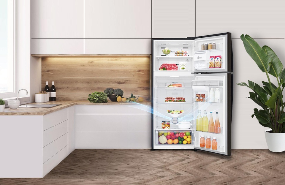 Nếu theo đuổi lối sống “ăn lành sống xanh”, bạn không thể bỏ qua món đồ này! - 1 Nếu theo đuổi lối sống “ăn lành sống xanh”, bạn không thể bỏ qua món đồ này! - 1