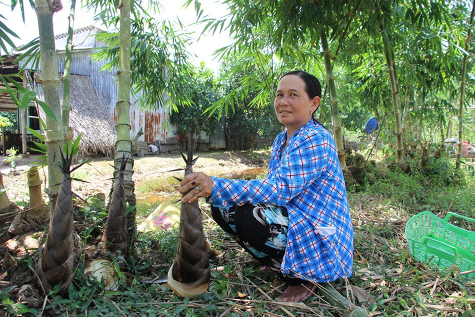 Thu lãi trăm triệu đồng nhờ trồng loại cây bán không bỏ thứ gì - 4 Thu lãi trăm triệu đồng nhờ trồng loại cây bán không bỏ thứ gì - 4
