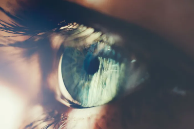 Góc nhìn khoa học về hiện tượng “cuộc đời vụt qua trước mắt” khi cận tử