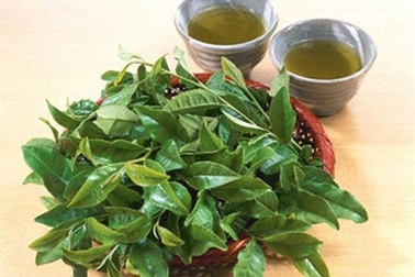 Tóc cũng cần “uống” nước như cơ thể!