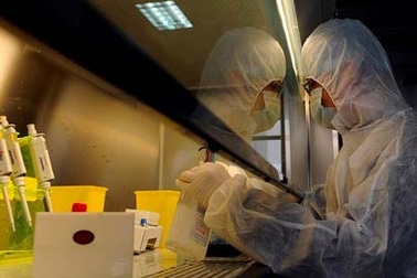 Trung Quốc: Đưa vào sử dụng thuốc phát hiện vi rút H7N9