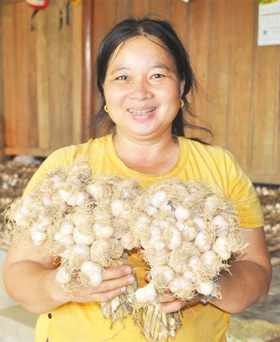 Trồng cây bản địa, nông dân xã miền thượng có nguồn thu cả tỷ đồng - 3 Trồng cây bản địa, nông dân xã miền thượng có nguồn thu cả tỷ đồng - 3