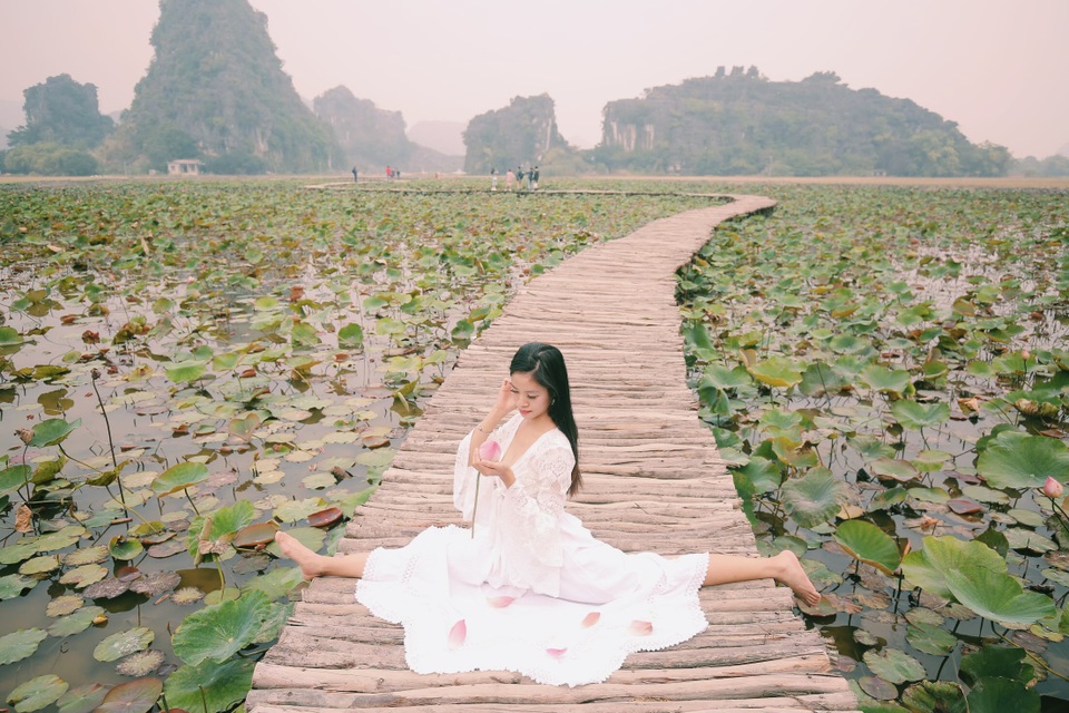 Ngỡ ngàng mùa sen giữa trời đông, lau đẹp như tranh ở Ninh Bình - 1 Ngỡ ngàng mùa sen giữa trời đông, lau đẹp như tranh ở Ninh Bình - 1